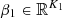 $ {\beta }_1\in {\mathbb{R}}^{{K}_1}$