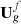 $ {\mathbf{U}}_g^f$
