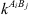 $ {k}^{{A}_i{B}_j}$