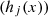 $ ({h}_j(x))$