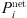 $ {P}_i^{\mathrm{net}}$