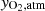 $ {y}_{{\mathrm{O}}_2,\mathrm{atm}}$