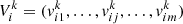 $$ {{V}}_i^k=({v}_{i1}^k,\dots,{v}_{{ij}}^k,\dots,{v}_{{im}}^k) $$