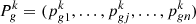 $$ {{P}}_g^k=({p}_{g1}^k,\dots,{p}_{{gj}}^k,\dots,{p}_{{gn}}^k) $$