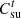 $ {C}_{\mathrm{su}}^t$