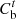 $ {C}_{\mathrm{b}}^t$