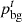 $ {p}_{\mathrm{bg}}^t$