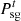 $ {P}_{\mathrm{sg}}^t$