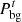 $ {P}_{\mathrm{bg}}^t$