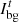 $ {I}_{\mathrm{bg}}^t$