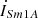 $ {\dot{I}}_{{Sm}1A}$