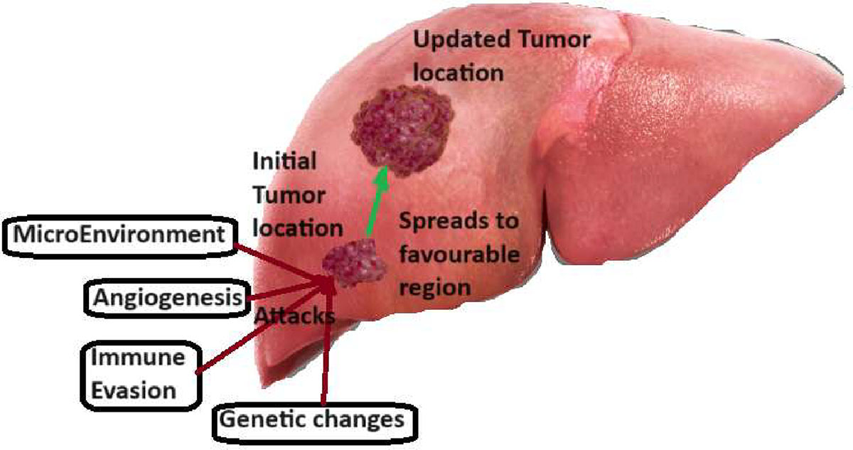 Figure 4 Refer to the following caption and surrounding text.