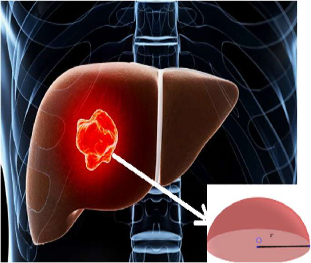 Figure 5 Refer to the following caption and surrounding text.