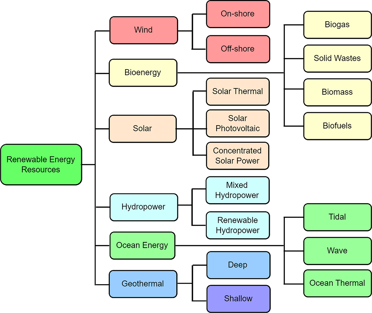 Figure 1 Refer to the following caption and surrounding text.
