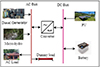 Thumbnail: Figure 2 Refer to the following caption and surrounding text.