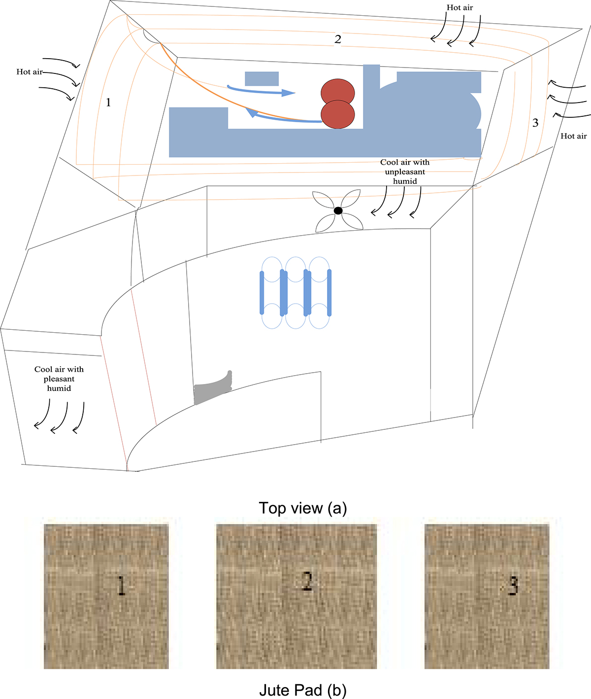 Figure 3 Refer to the following caption and surrounding text.