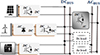 Thumbnail: Figure 3 Refer to the following caption and surrounding text.