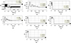 Thumbnail: Figure 13 Refer to the following caption and surrounding text.